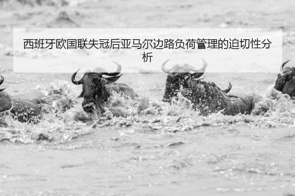 xi-ban-ya-ou-guo-lian-shi-guan-hou-ya-ma-er-bian-lu-fu-he-guan-li-de-po-qie-xing-fen-xi-2-942.jpg